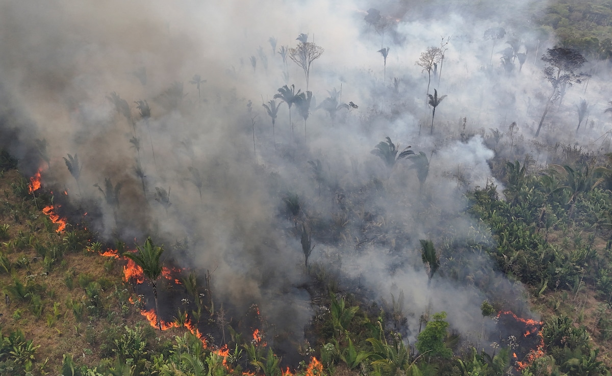 Pemandangan drone menunjukkan asap mengepul dari kebakaran hutan di Amazon di Jalan Raya Trans-Amazon BR230 di Brasil.