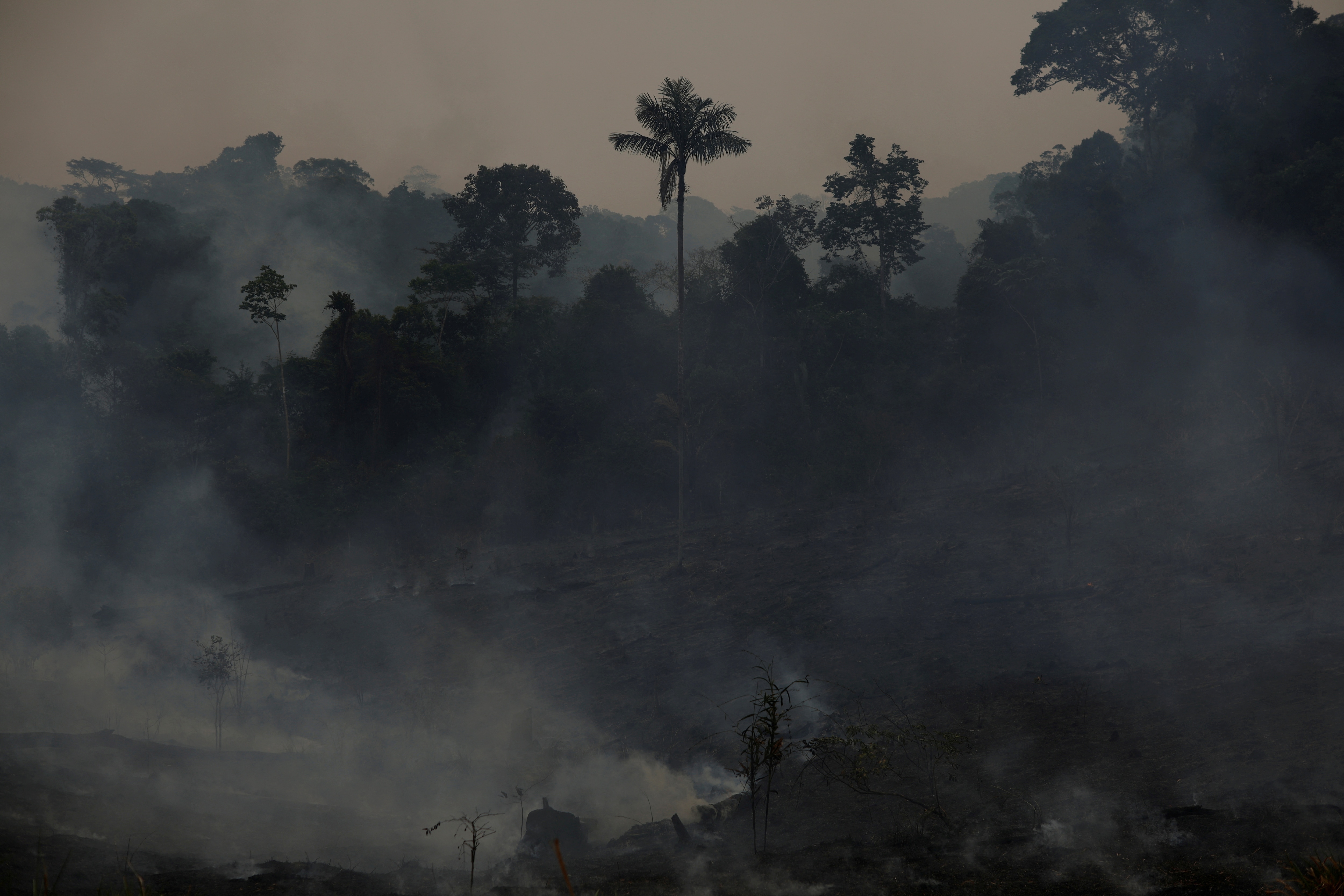 Asap dari kebakaran mengepul ke udara di hutan hujan Amazon di Apui, negara bagian Amazonas, Brasil.