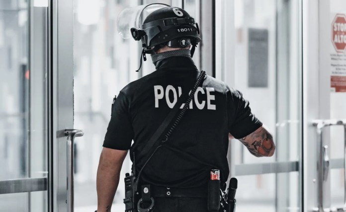 Puppy Inside Pizza Box, Anjing Kelaparan: Apa yang Ditemukan Polisi di Rumah Michigan