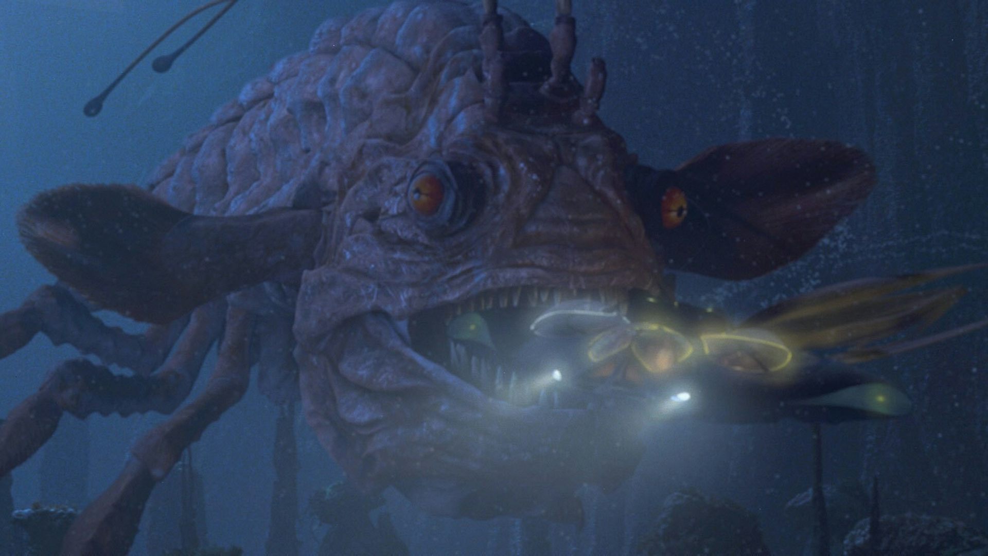 ‘Icarus of the Deep’: Bagaimana ikan sudut yang sekarat menjadi sensasi media sosial