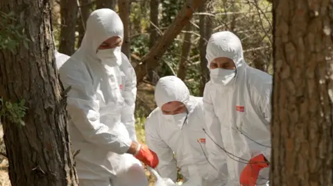 BBC Empat orang dalam pakaian pelindung pribadi membawa kantong mayat melalui hutan dan menaiki bukit 